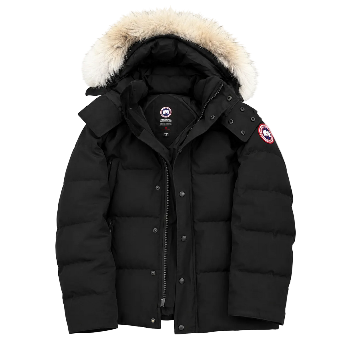 1:1. Canada goose parka